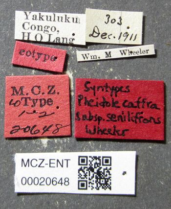 Media type: image;   Entomology 20648 Aspect: labels